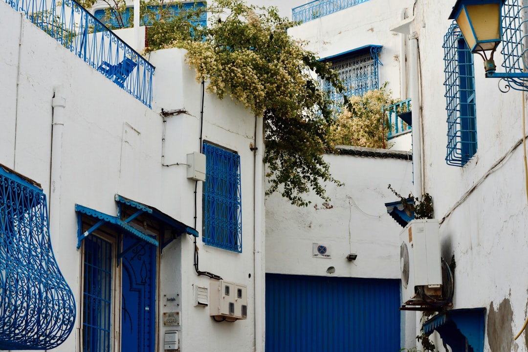I souks di Tunisi: profumi e colori nella Medina - Q5WC+J77 | Secret World Trip Planner