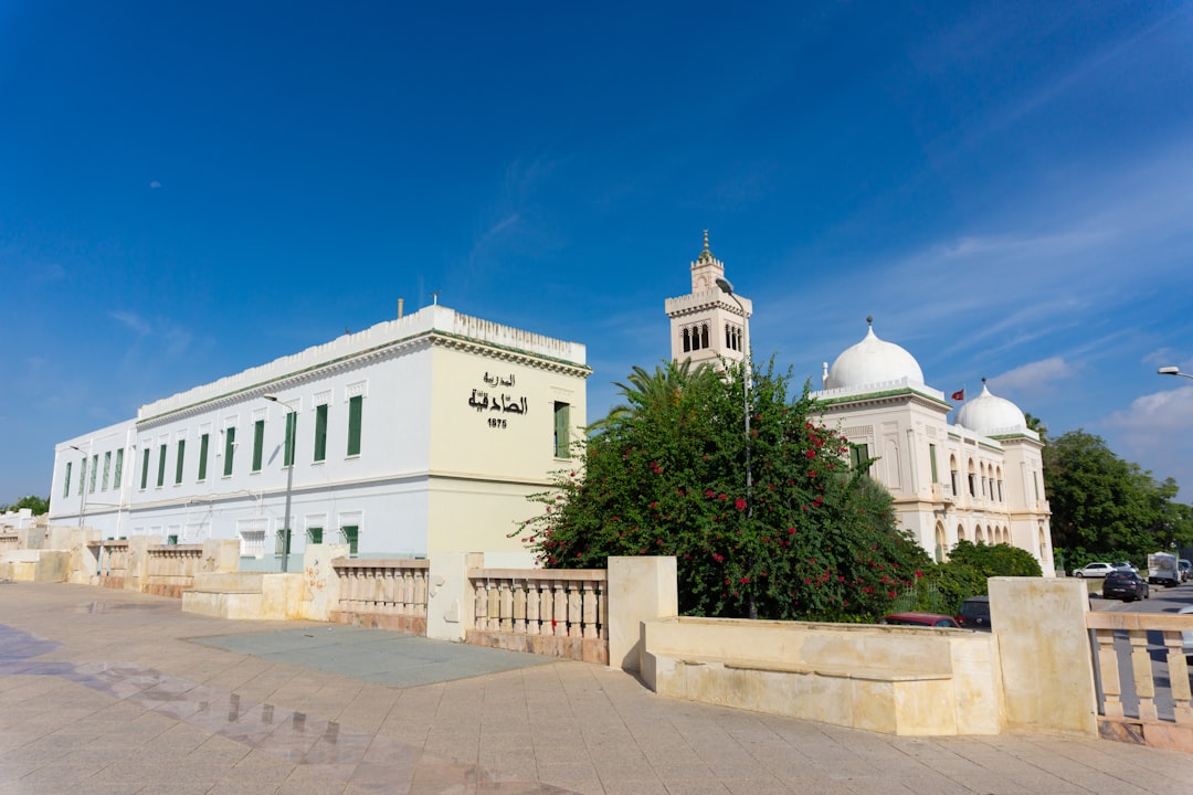 Museo del Bardo: i mosaici romani di Tunisi - RN 7 | Secret World Trip Planner