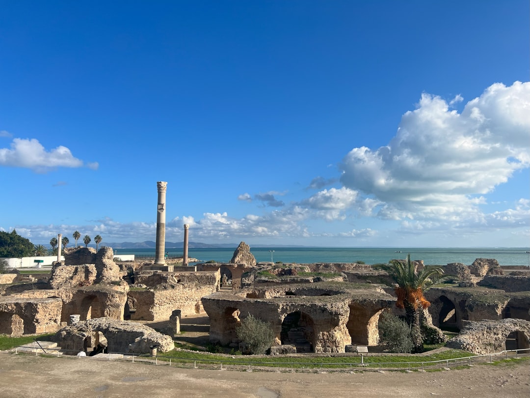 Bardo Museum: Discover Tunisian Roman Mosaics - RN 7 | Secret World Trip Planner