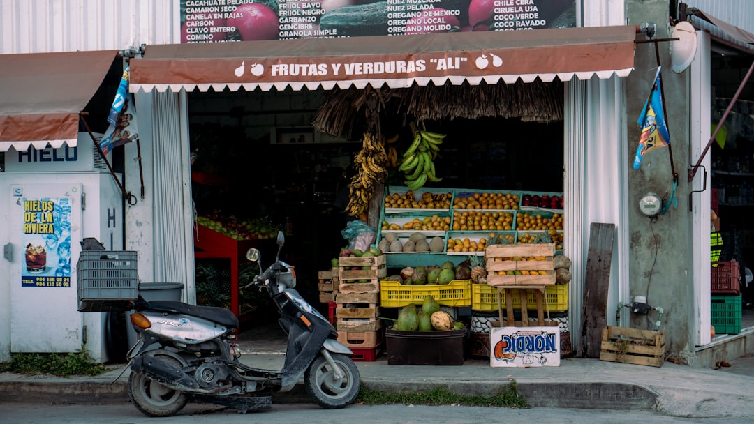 Cuatro Caminos: il mercato storico di L'Avana — Ave de México Cristina