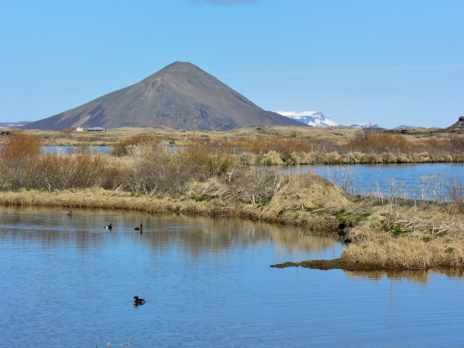 Scopri il fascino di Vindbelgjarfjall in Islanda — Skútustaðir