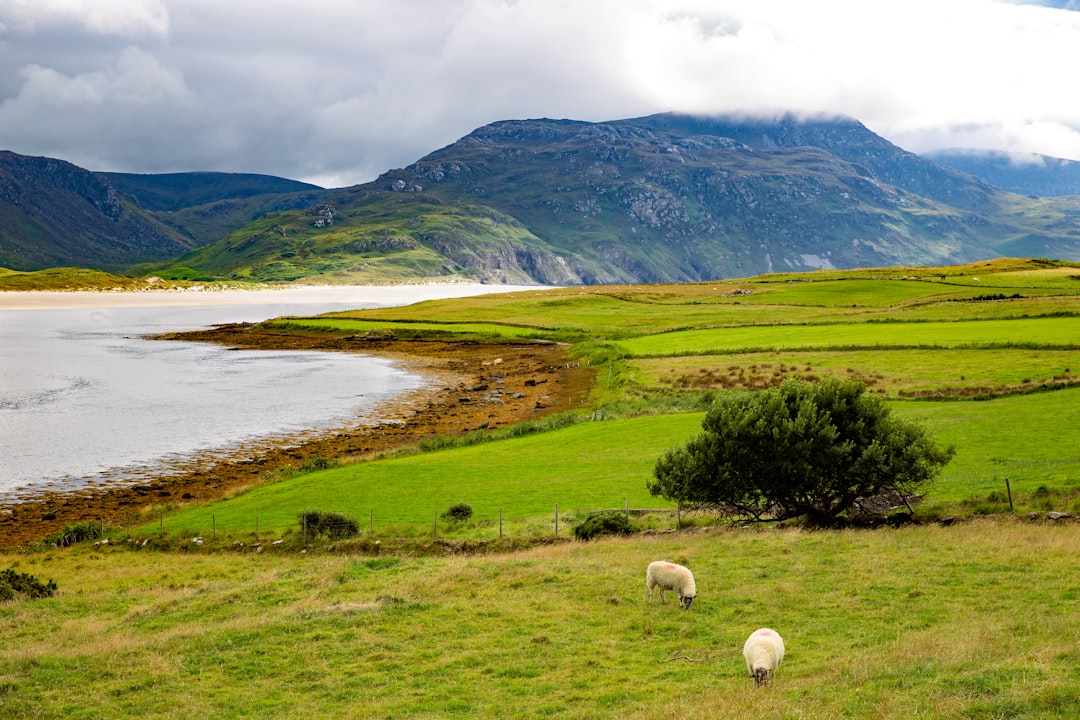 Exploring Beenkeragh: The Mountain of Sheep in Ireland - Killarney Road | Secret World Trip Planner