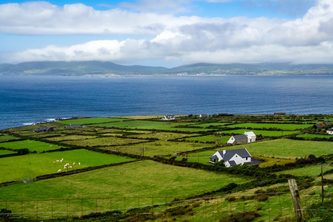 Esplora Maolán Buí: un gioiello naturale in Irlanda - Blackvalley | Secret World Trip Planner