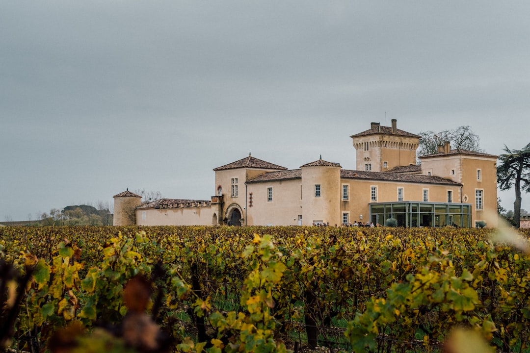 Weinmuseum Brotte: Weine und Terroir in Châteauneuf-du-Pape - Av. Saint-Pierre de Luxembourg | Secret World Trip Planner