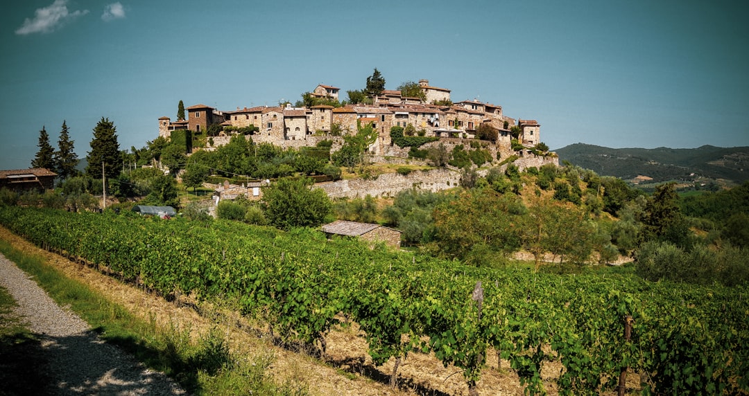 Chianti Classico in Greve: Tuscan Wines and Terroir - 18 | Secret World Trip Planner
