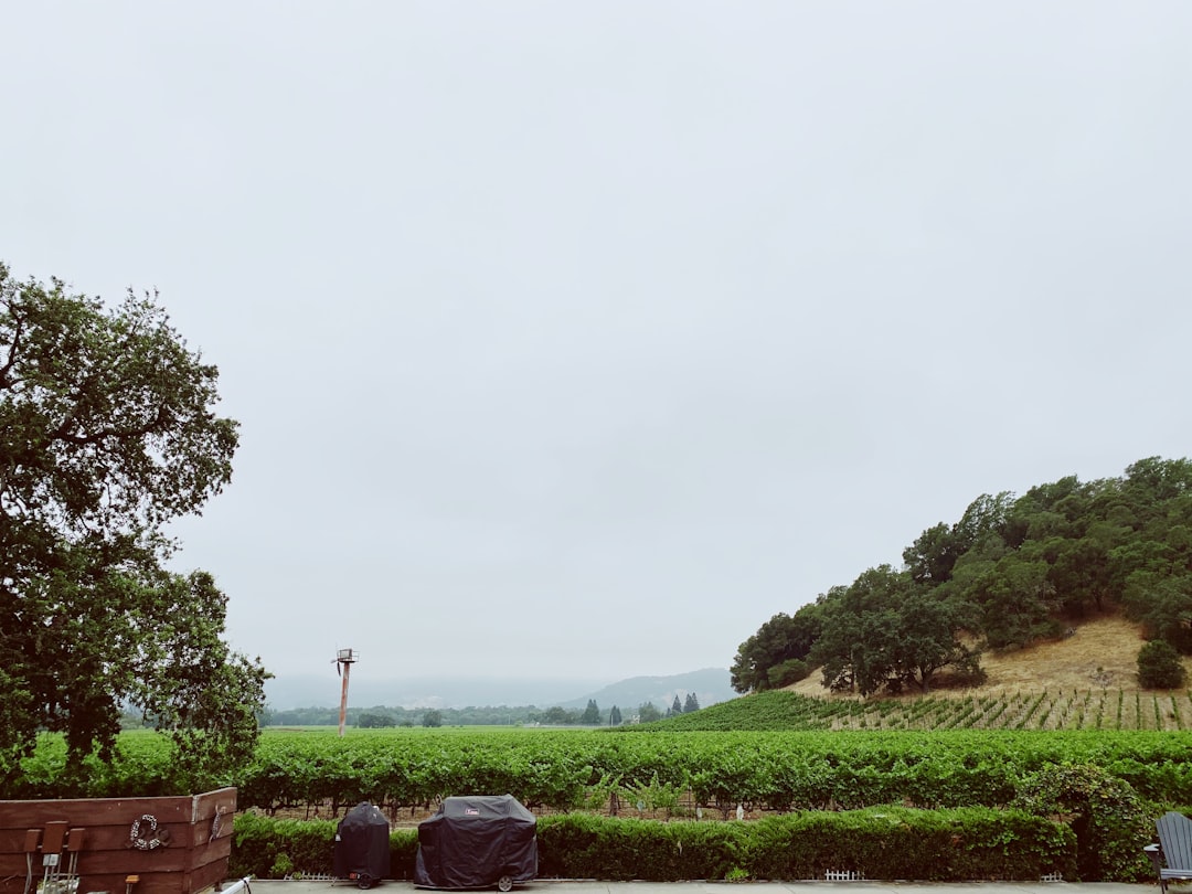 Napa Valley Wine Train: Scenic Wine Journey by Rail - Napa | Secret World Trip Planner