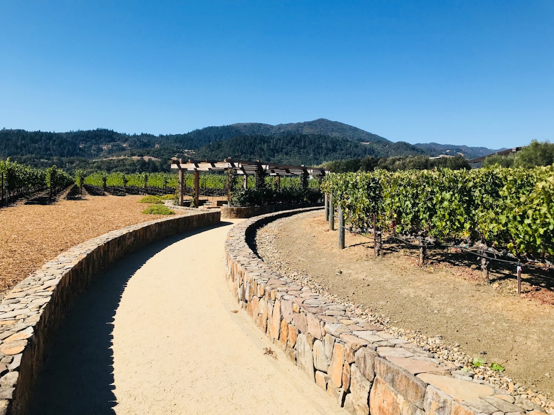 Napa Valley Weinzug: Wein und Landschaften auf Schienen — Napa