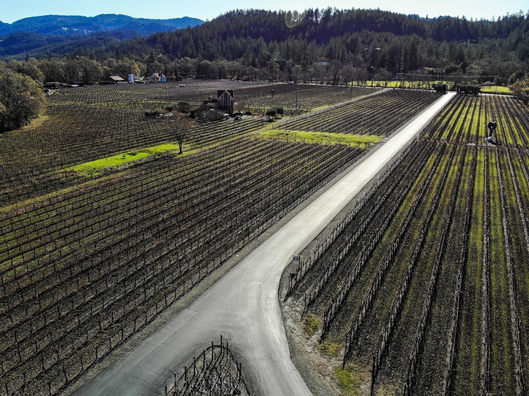 Napa Valley Weinzug: Wein und Landschaften auf Schienen - Napa | Secret World Trip Planner