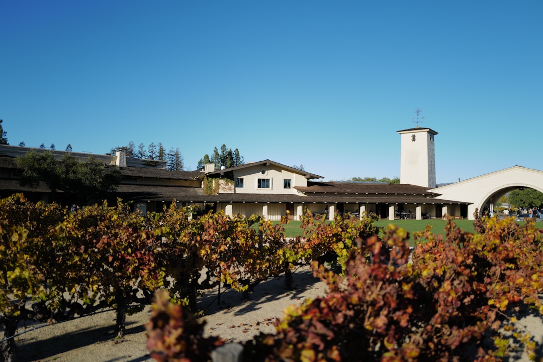 Napa Valley Weinzug: Wein und Landschaften auf Schienen - Napa | Secret World Trip Planner