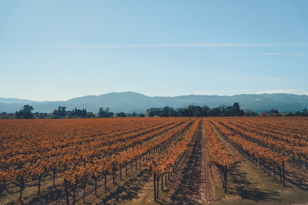 Napa Valley Weinzug: Wein und Landschaften auf Schienen - Napa | Secret World Trip Planner