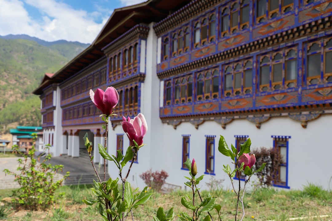 Hochgebirgsweine in Shangri-La: zwischen Weinbergen und Himalaya - Diqing Tibetan Autonomous Prefecture | Secret World Trip Planner
