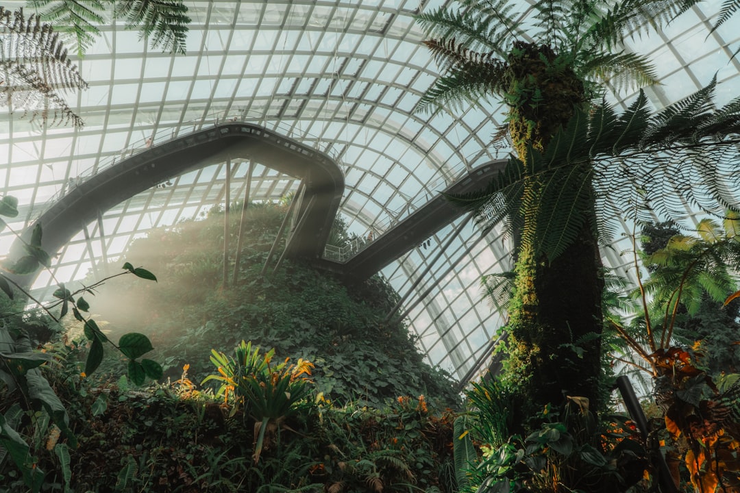 Cloud Forest Singapore: arte e natura a 35 metri d'altezza — 18 Marina Gardens Dr