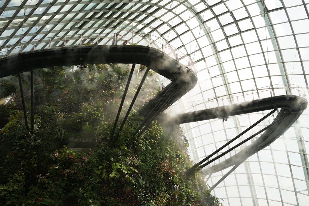 Wolkenwald Singapur: Kunst und Natur in 35 Metern - 18 Marina Gardens Dr | Secret World Trip Planner