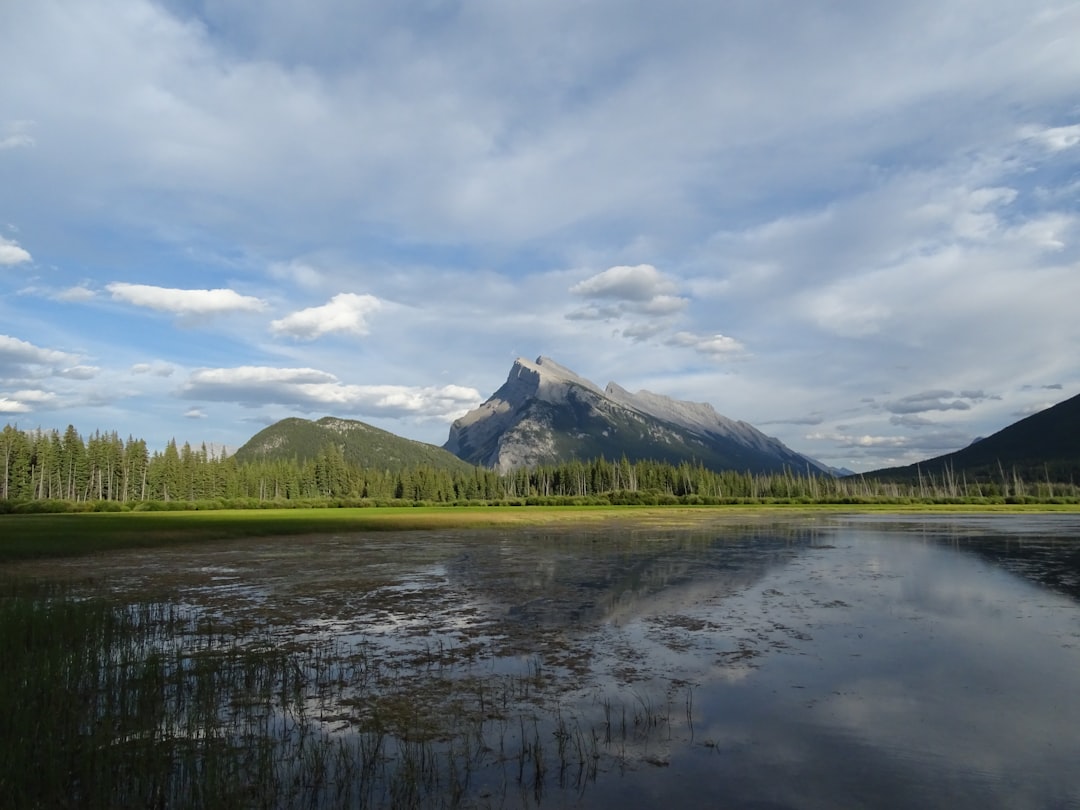 Vermilion Lakes: specchi d'acqua ai piedi delle Rockies - Banff | Secret World Trip Planner