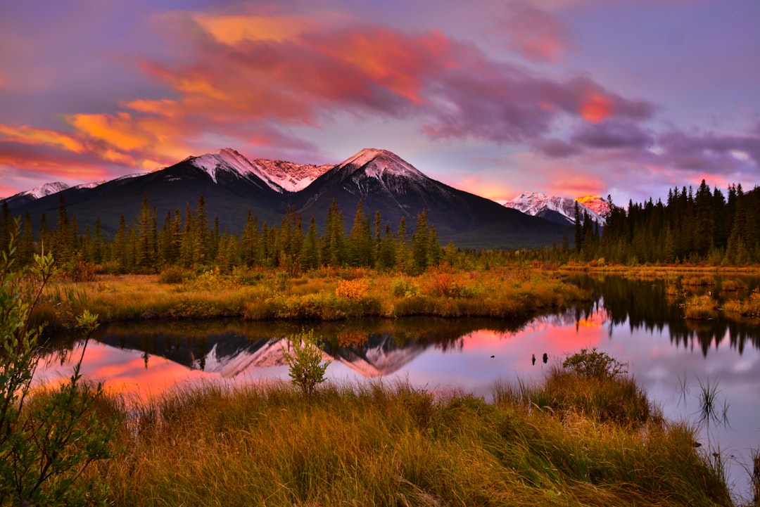 Vermilion Lakes: Wasserflächen am Fuß der Rockies — Banff