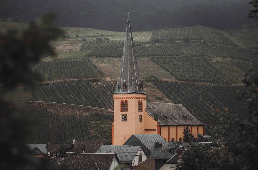 Museo del Vino della Mosella a Bernkastel-Kues - Cusanusstraße 2 | Secret World Trip Planner