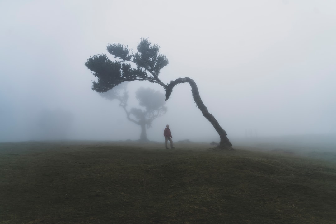 Fanal: A Corner of Untouched Nature in Portugal - Seixal | Secret World Trip Planner