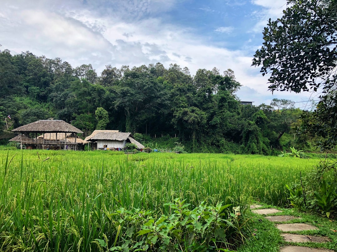 Phou Khai erkunden: Ein Naturparadies in Thailand - Chaloem Phra Kiat District | Secret World Trip Planner