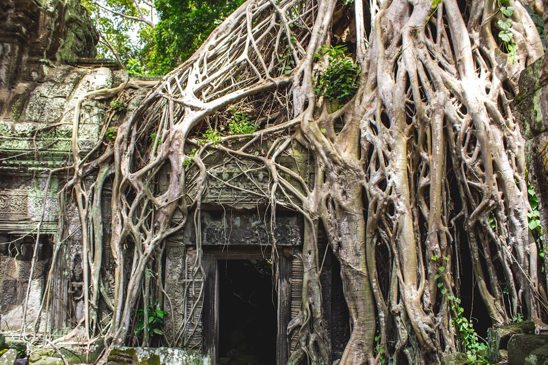 Entdecken Sie die Bat Cave in Kambodscha: ein Naturjuwel zum Erkunden — Krong Battambang