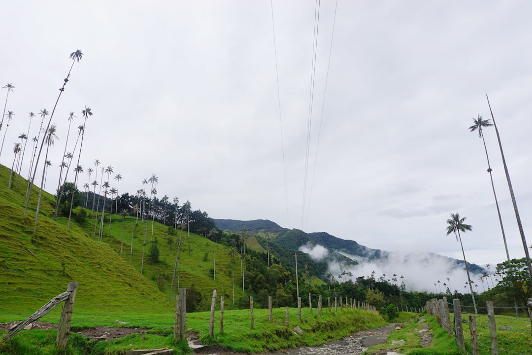 Discover Alto Miraflores: A Corner of Nature in Colombia