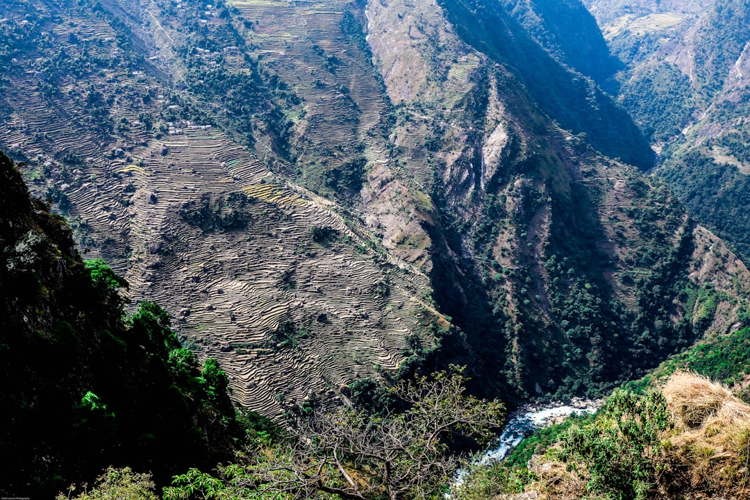 Gara Muleta Terara: Un Paradiso Naturale in Etiopia — 7P4J+H7Q
