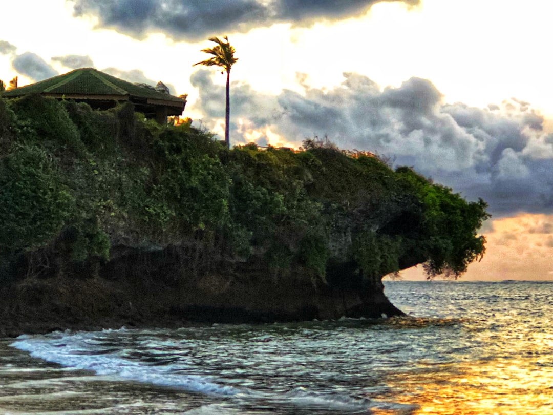 Explore the Batcave: A Journey into Kenya's Nature — Kakamega