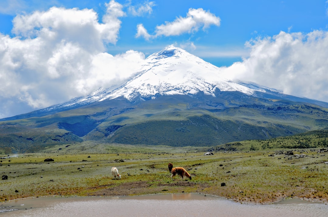 Cotopaxi: Besteige den höchsten aktiven Vulkan Ecuadors - Cotopaxi | Secret World Trip Planner