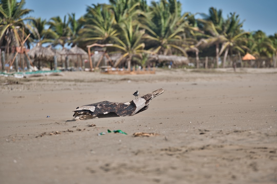 Playa Blanca: Der weiße Strand von Barú, Kolumbien - Cartagena | Secret World Trip Planner