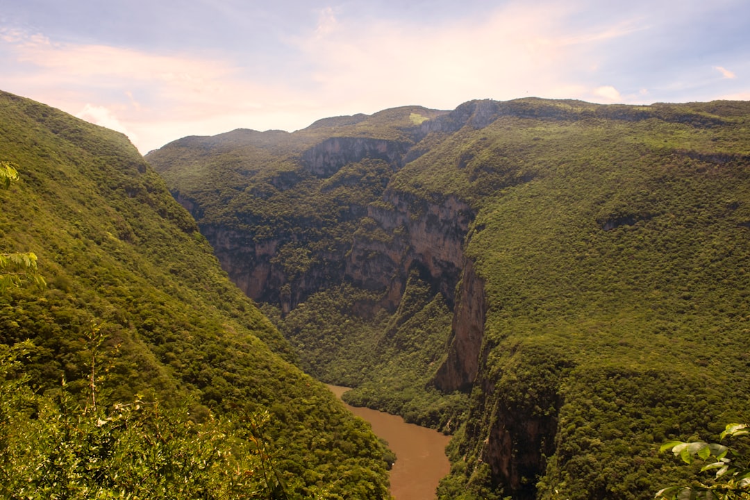 Cayos Cochinos: Meeresschutzgebiet mit Korallen und weißem Sand — 31101 La Ceiba