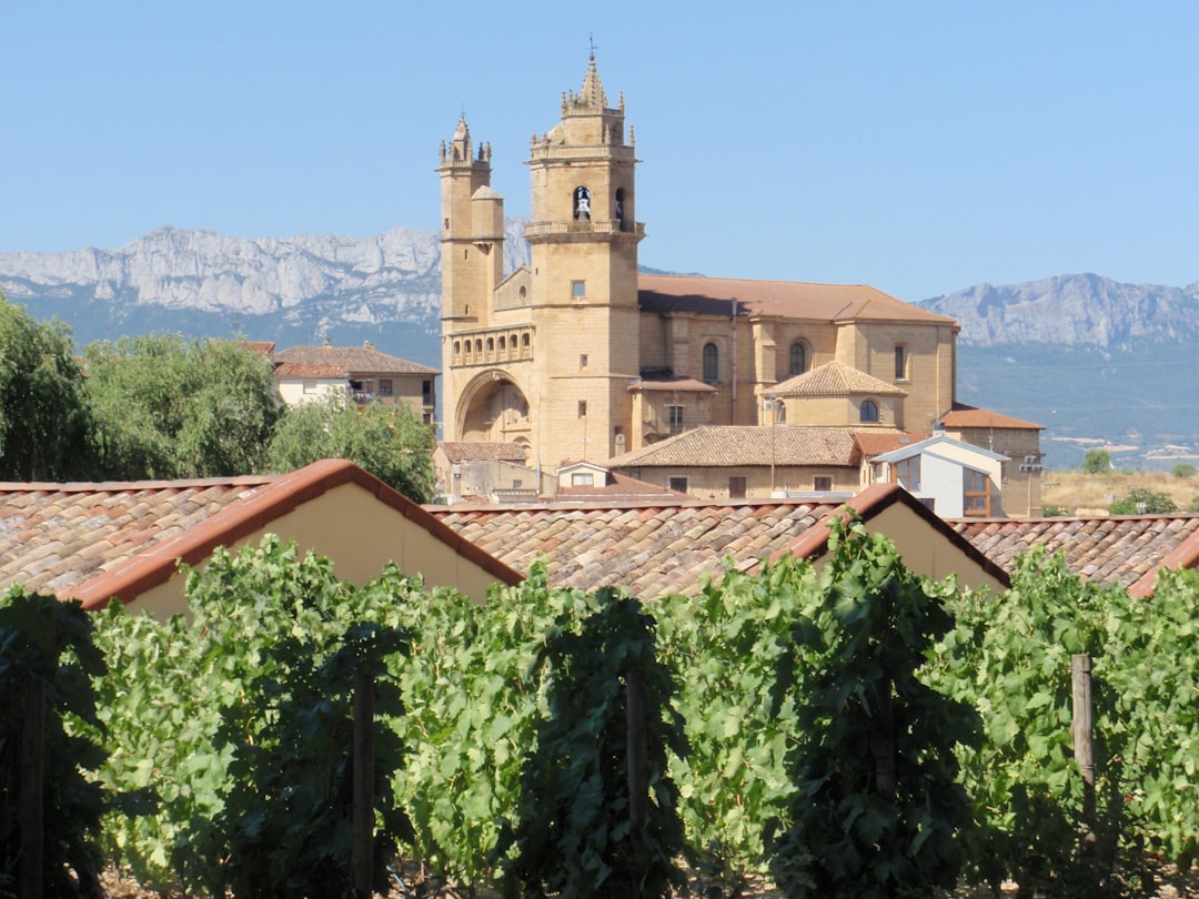 Colares: i vini atlantici sulle sabbie del Portogallo - Alameda Cel. Linhares de Lima 32 | Secret World Trip Planner