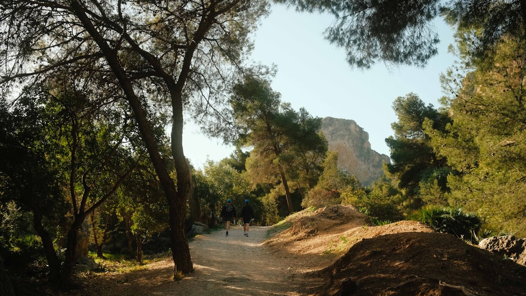 Caminito del Rey: der Pfad durch die Schluchten von El Chorro - 29550 Ardales | Secret World Trip Planner