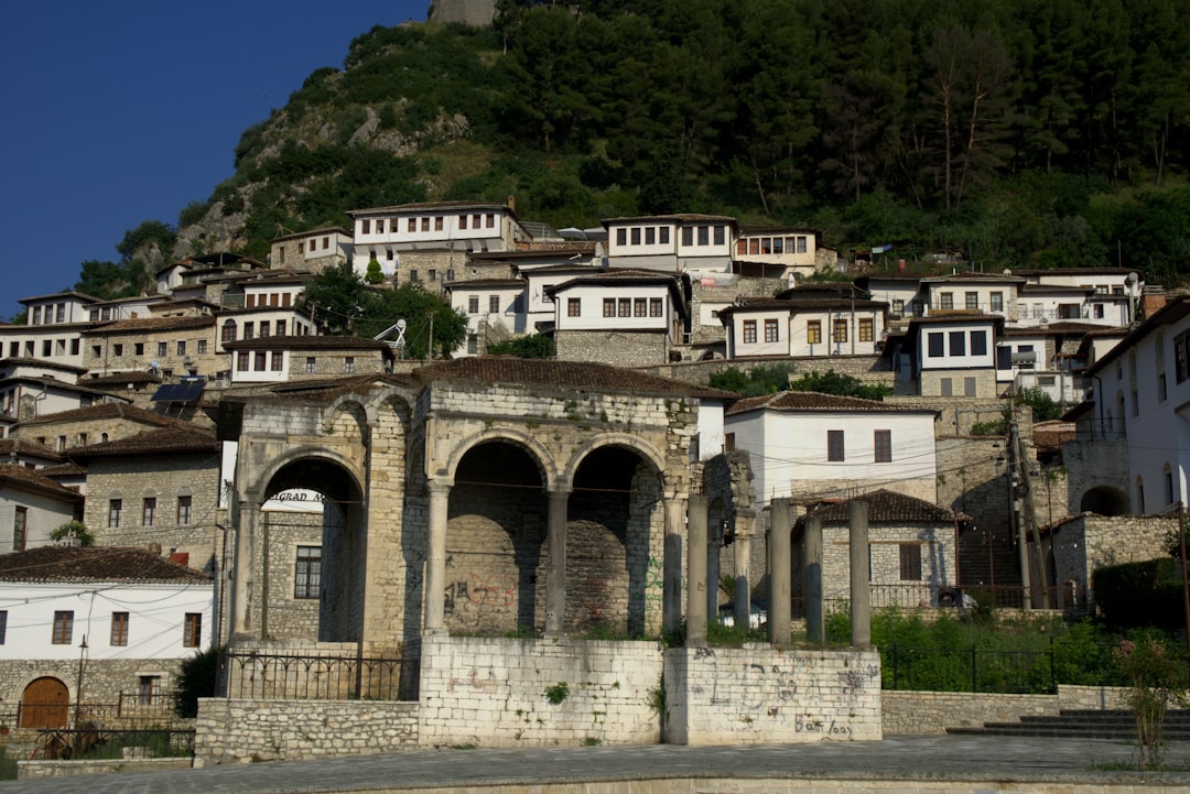 Lapidar: A Journey Through Time Between Trilobites and Ancient History — Kaninë