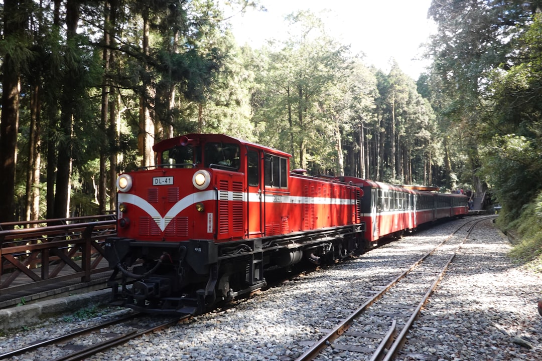 Alishan: Sonnenaufgang zwischen Wolken und Zypressen - Alishan Township | Secret World Trip Planner