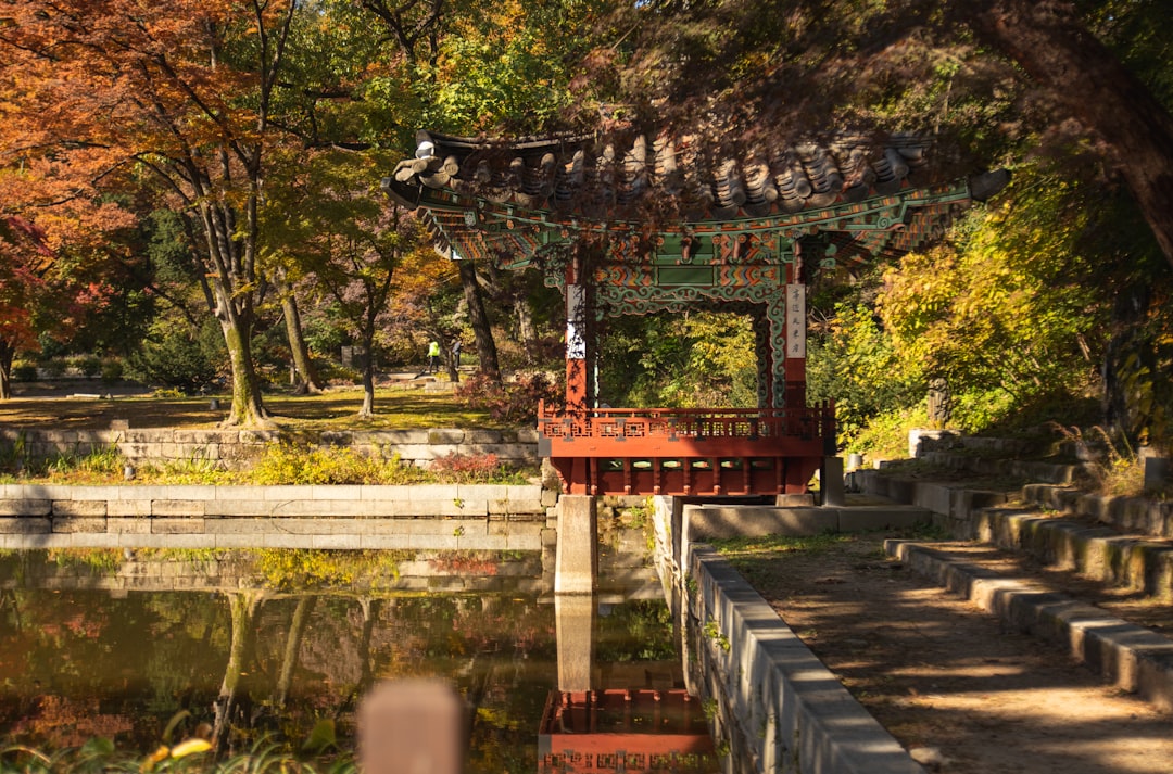 Changdeokgung: Seoul's Secret Palace Revealed — Jongno District