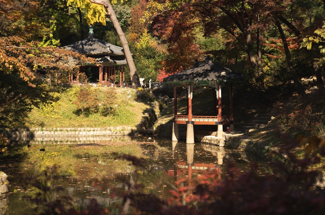 Changdeokgung: Seoul's Secret Palace Revealed - Jongno District | Secret World Trip Planner