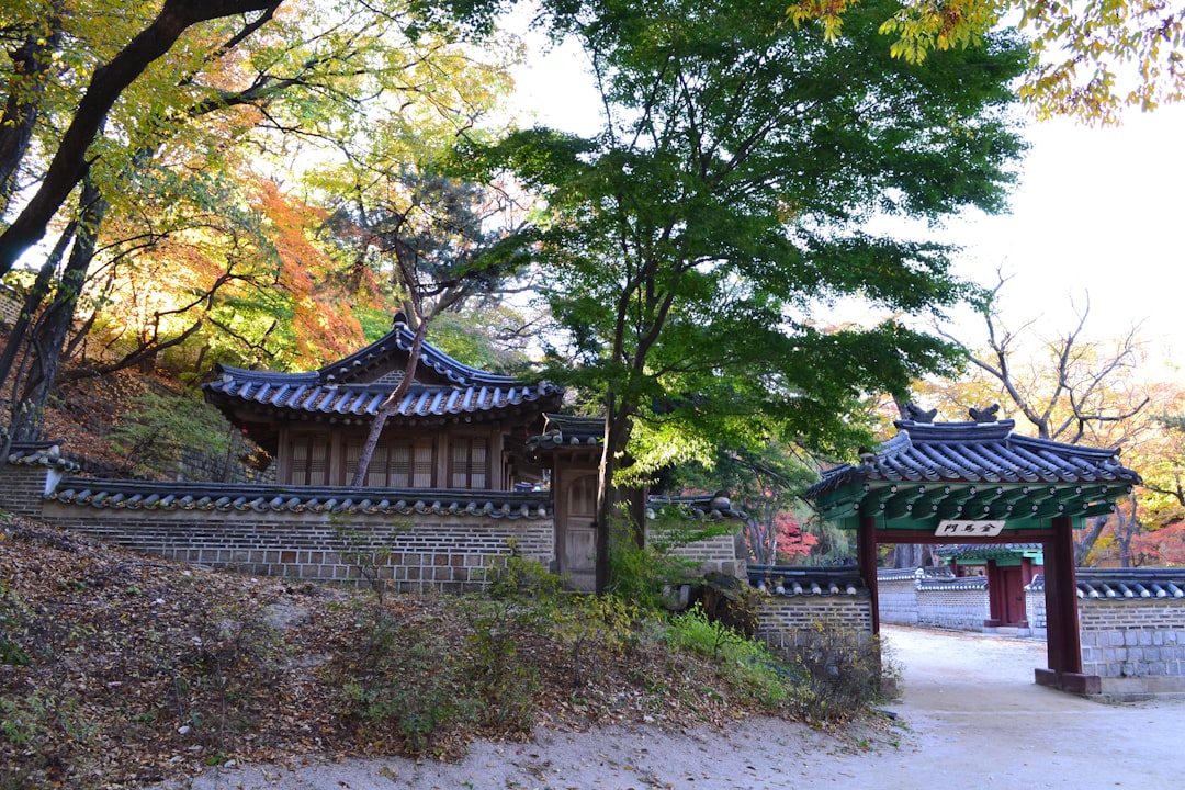 Changdeokgung: Seoul's Secret Palace Revealed - Jongno District | Secret World Trip Planner