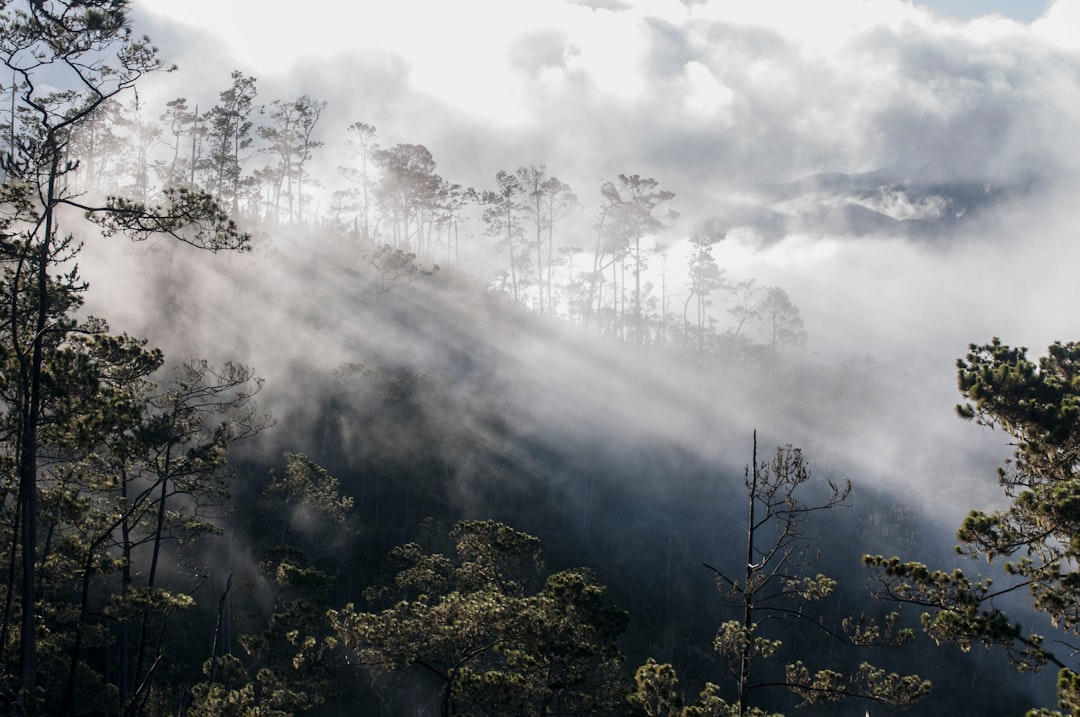 Pico Duarte: Trekking the Roof of the Caribbean — Pico Duarte