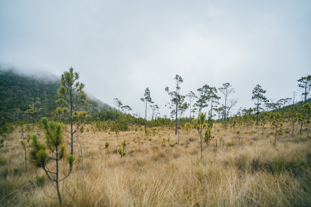 Pico Duarte: Trekking auf dem Dach der Karibik - Pico Duarte | Secret World Trip Planner