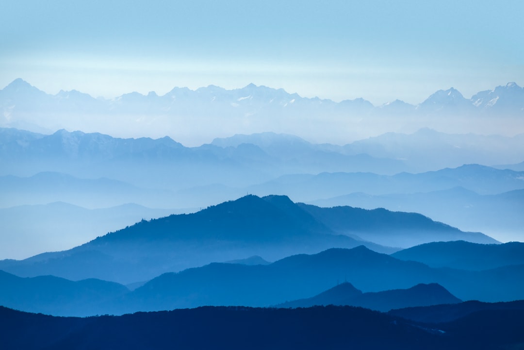 Blue Mountains Jamaica: Trekking Through Forests & Coffee — Blue Mountains