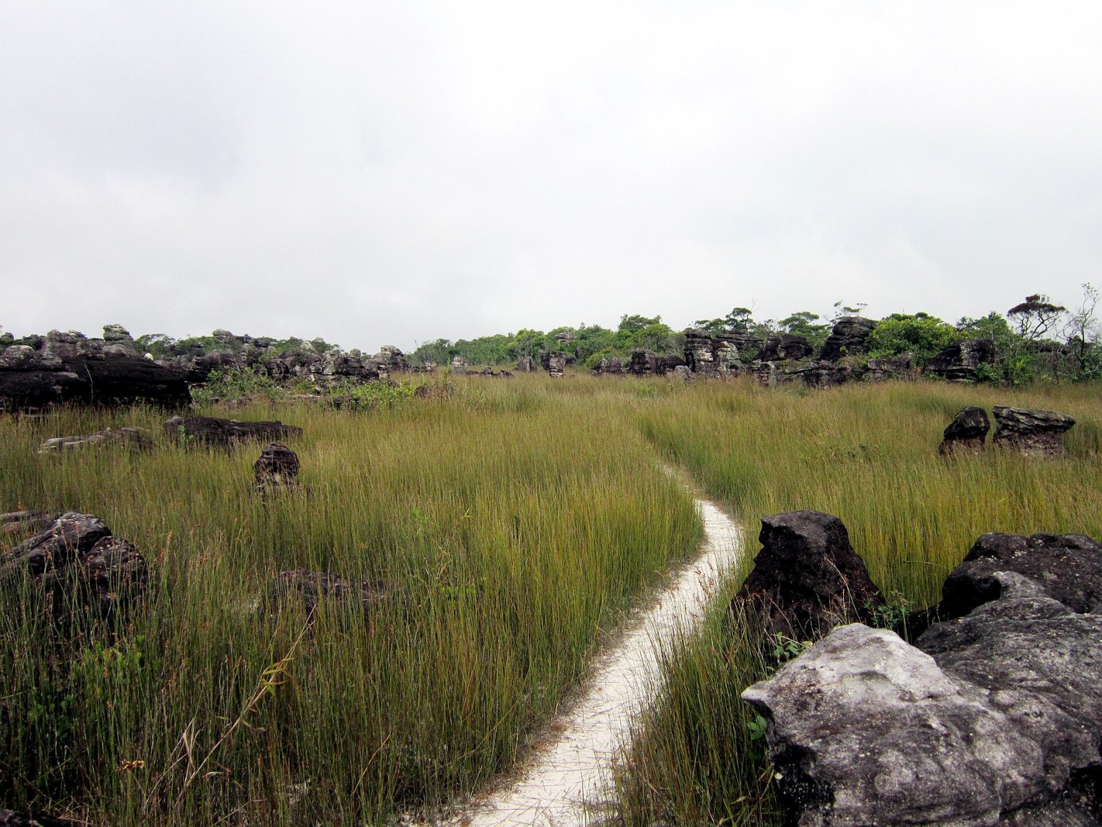 Entdecken Sie die Magie von Phnom Bokor: Ein Naturparadies in Kambodscha - Changhaon | Secret World Trip Planner