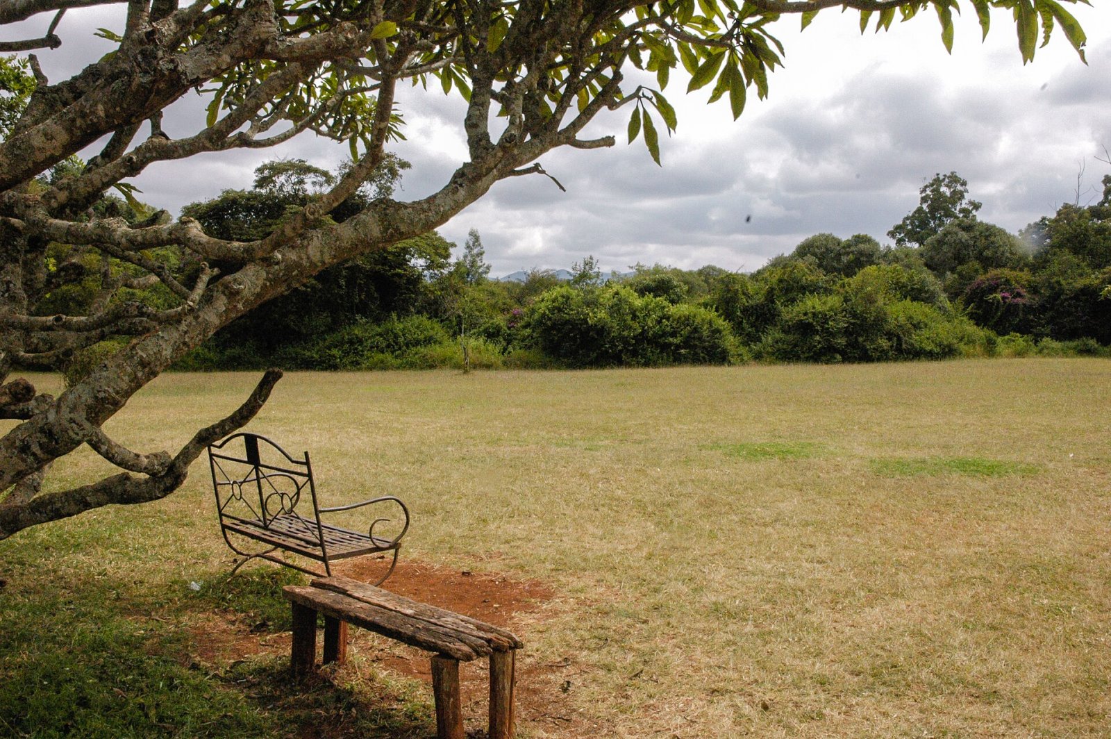 Entdecken Sie Bench, die Oase der Ruhe im Herzen Kenias - Nairobi | Secret World Trip Planner