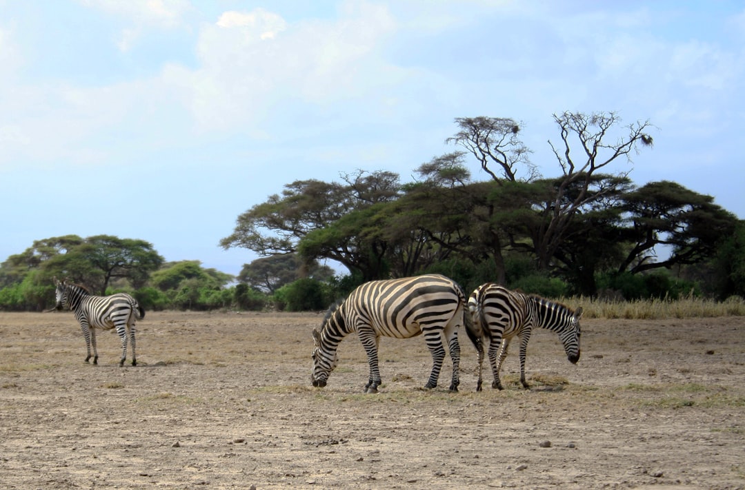 Discover the Equator in Kenya: a unique journey through experiences and nature