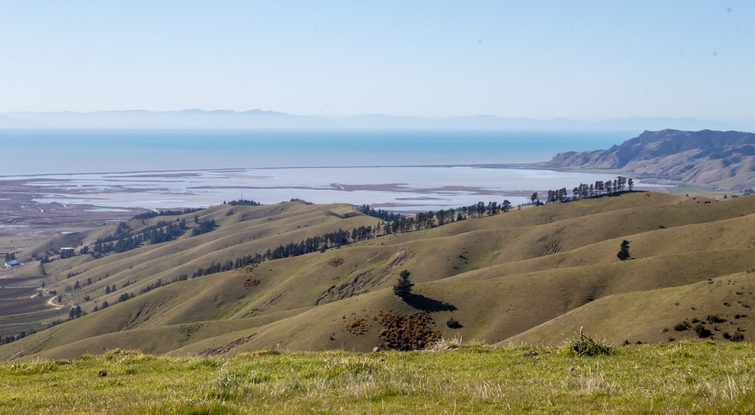 Marlborough Wine Tours: Cycling Through Blenheim Vineyards — Springlands