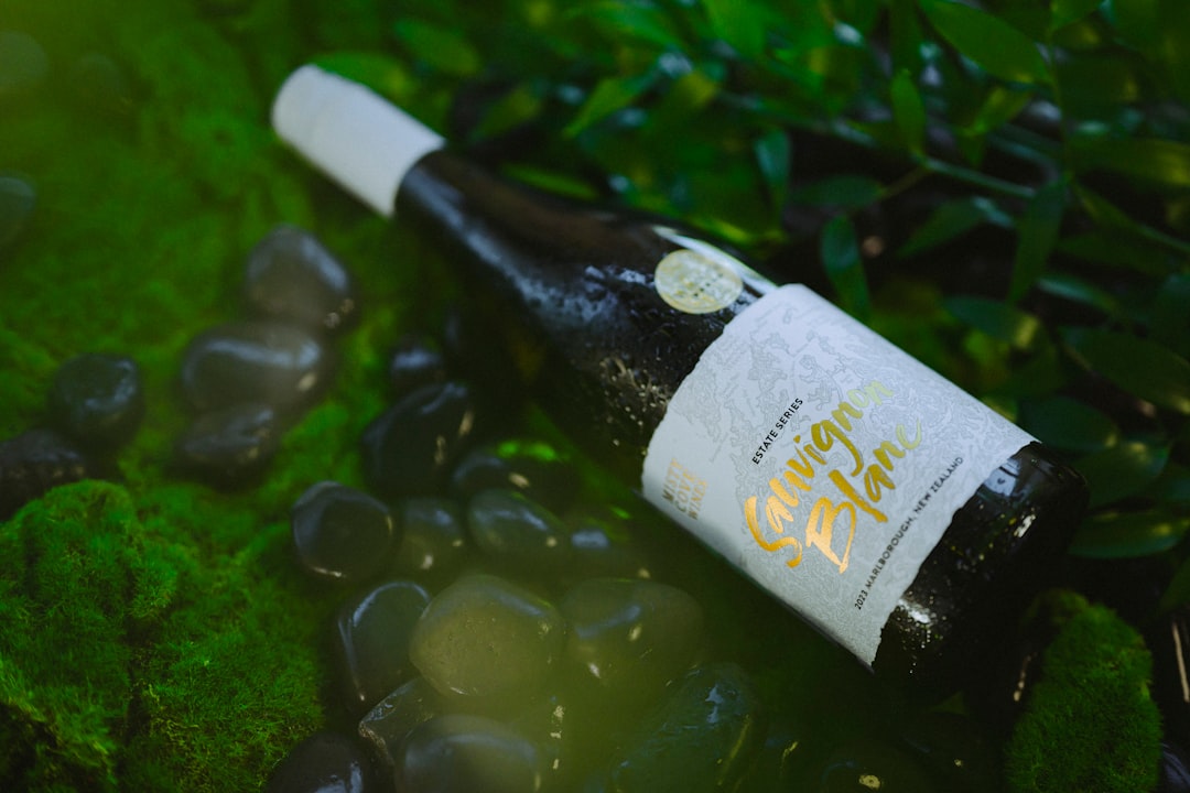 Marlborough Wein Touren: Radfahren durch Blenheims Weinberge - Springlands | Secret World Trip Planner