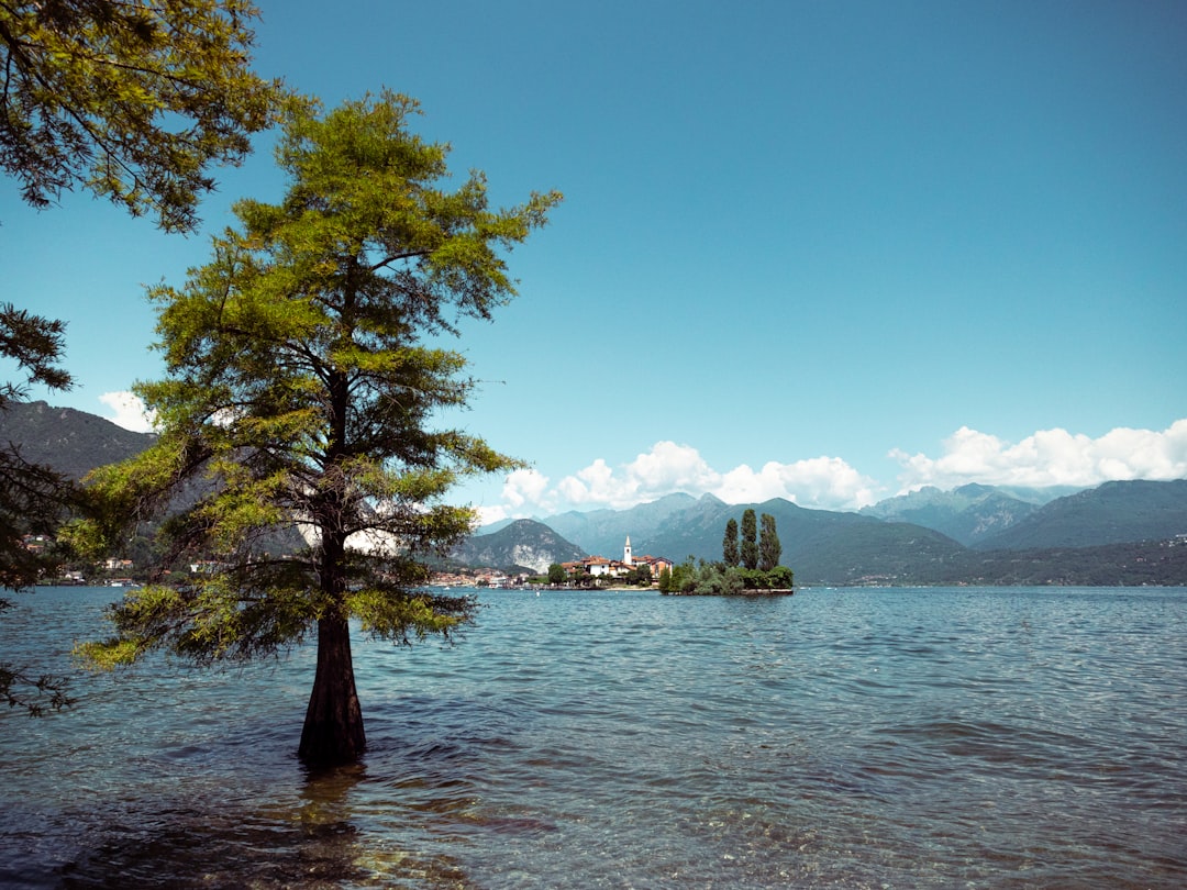 Lago Kawaguchi: il riflesso del Fuji sull'acqua - Distretto di Minamitsuru | Secret World Trip Planner