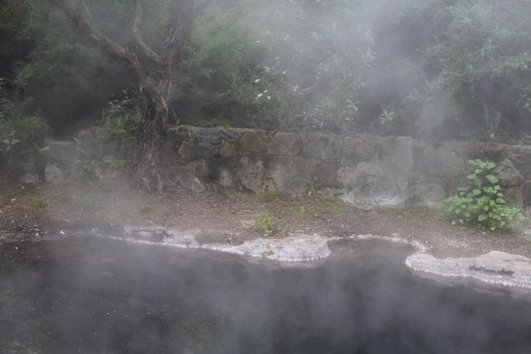 Polynesian Spa Rotorua: Geothermal Springs by the Lake - Lakeside | Secret World Trip Planner