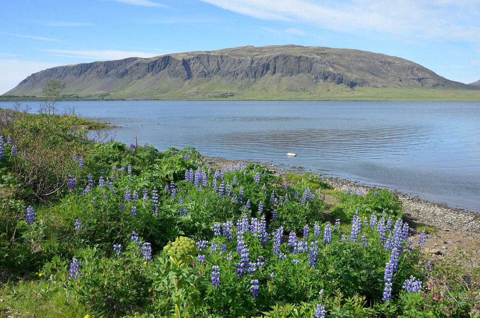 Ingólfsfjall: a Natural Gem of Iceland — Árbæjarhverfi