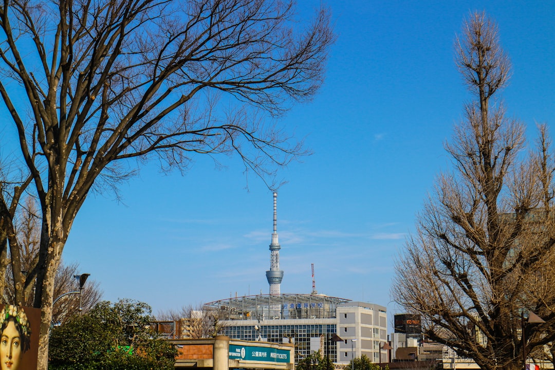 Nationalmuseum Tokio: Ein Leitfaden zu den Sammlungen - Taito City | Secret World Trip Planner