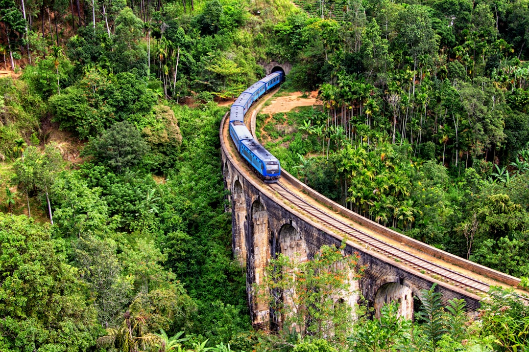 Kikiliyamana: Ein unberührtes Naturparadies in Sri Lanka — Nuwara Eliya