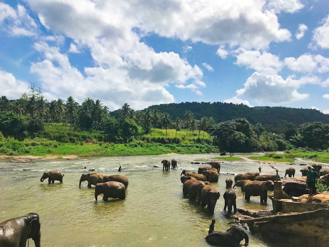 Gommolli Kanda: Ein Naturjuwel im Herzen Sri Lankas - Belihuloya | Secret World Trip Planner